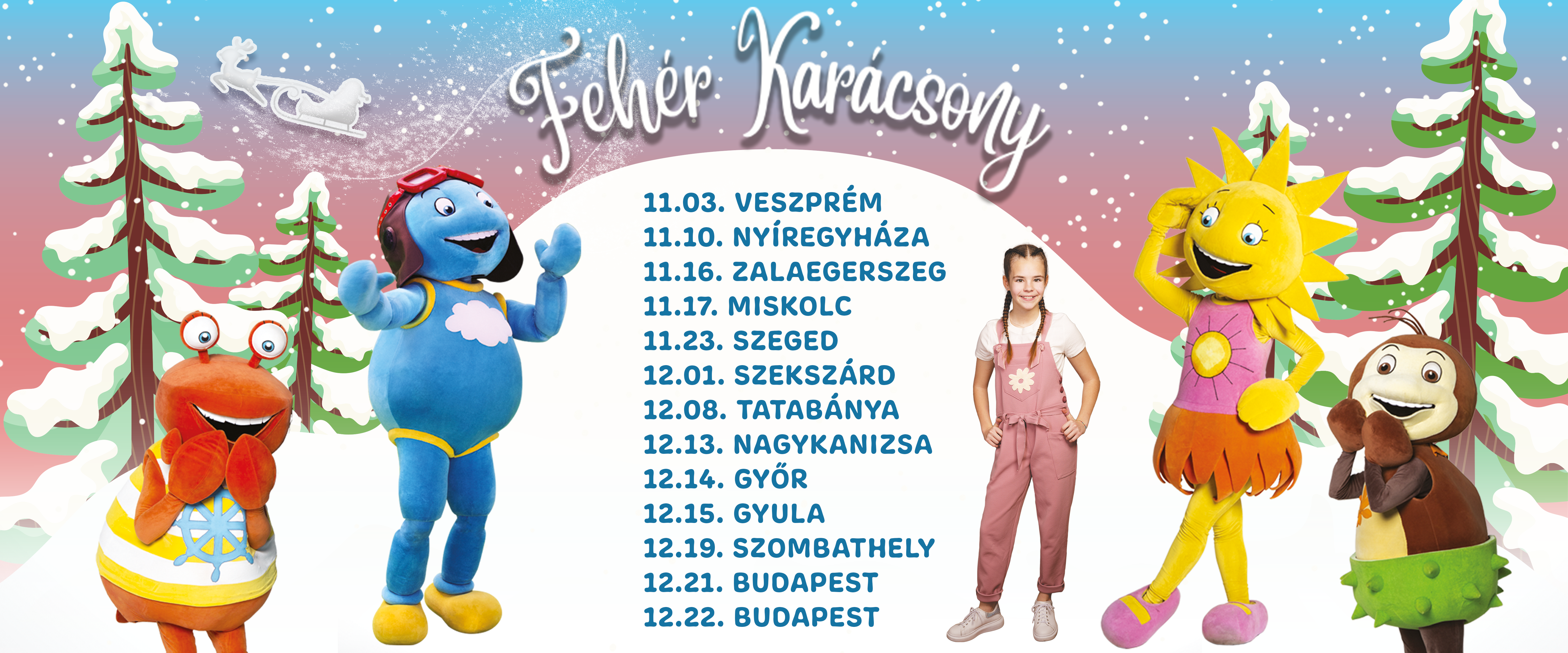 FEHÉR KARÁCSONY BANNER WEBRE